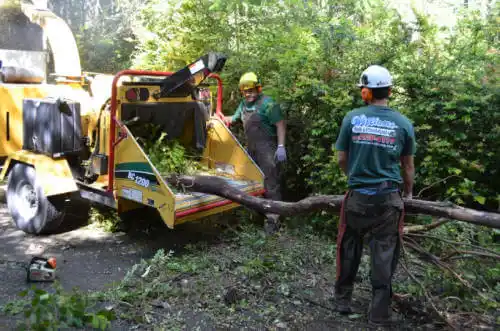 tree services Greensboro